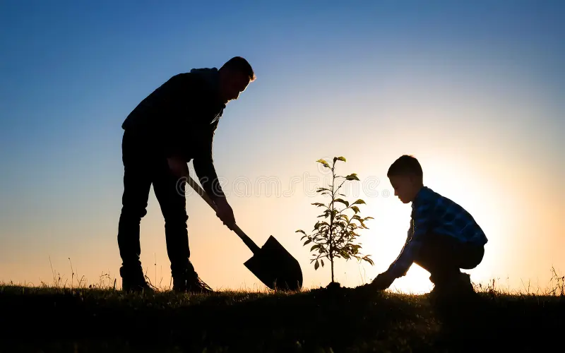 Family owned mini-forests and community restoration